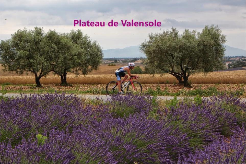 Coeur De Ville, T2, Rue Pietonne, Digne Les Bains Экстерьер фото